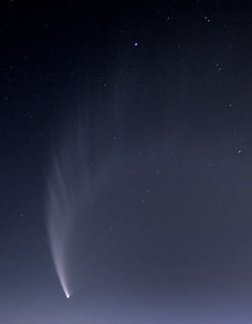Комета C/2006 P1 (Макнот)