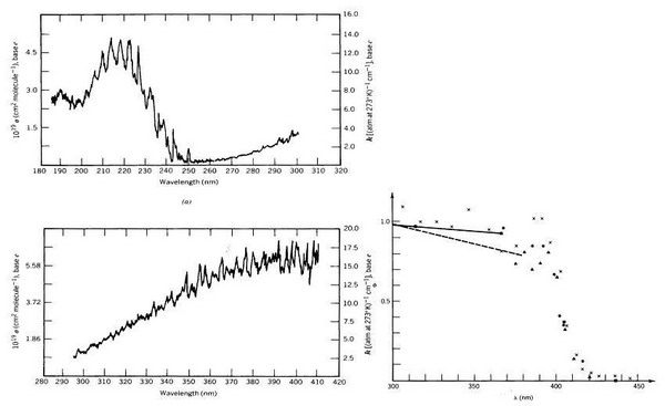  UV-spectrum and quantum yields of NO2